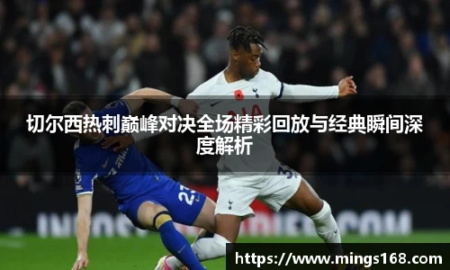 zoty中欧